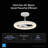 Aashini 13'' Ceiling Fan with LED Lights
