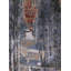 Tapis bleu / rouge / noir Bradenville-1507846777