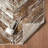 Forkland Beige/Gold Indoor/Outdoor Area Rug-477174183