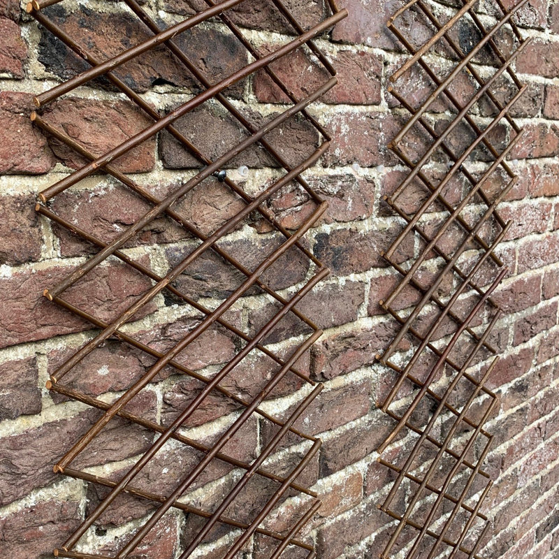 Andromede 180cm H Wood Expanding Trellis, 180" H x 30" W x 1" D