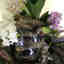 Customer photo 2 of 2