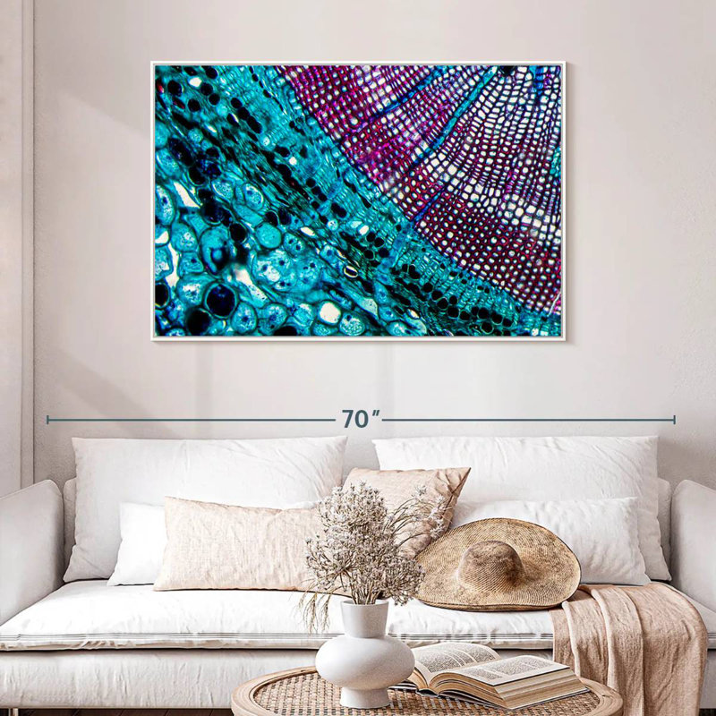 Pine Stem Under Microscope, Floating Frame White, 46" X 31"