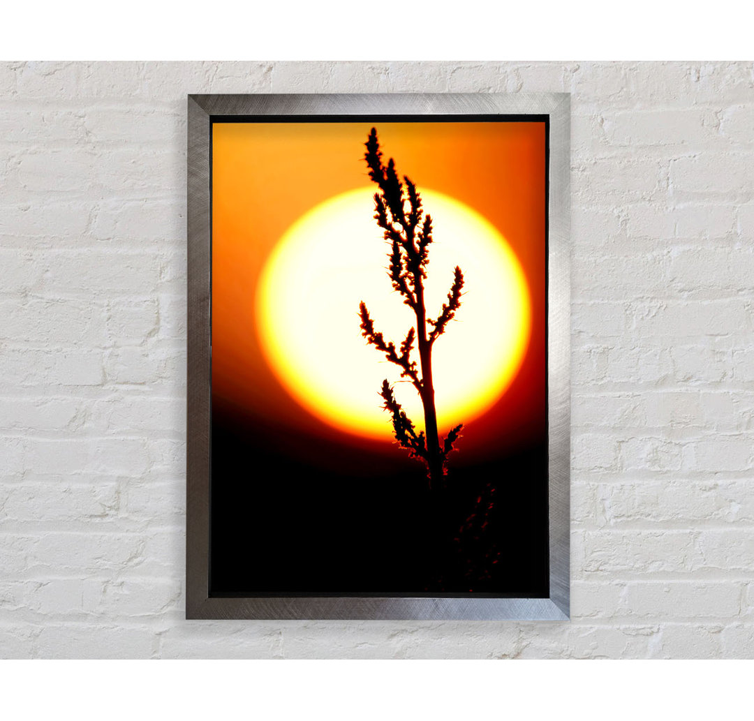 Stunning Sun Glow Orange - Einzelne Bilderrahmen Kunstdrucke