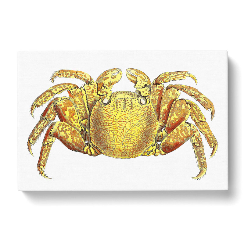 Crab by George Shaw - Wrapped Canvas Painting, 40cm H x 60cm W x 3cm D