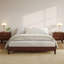 Structure de lit plateforme pleine grandeur en bois - Profil bas de 9 pouces - Support de lattes robuste et silencieux - Rangement sous le lit - Noyer rouge traditionnel