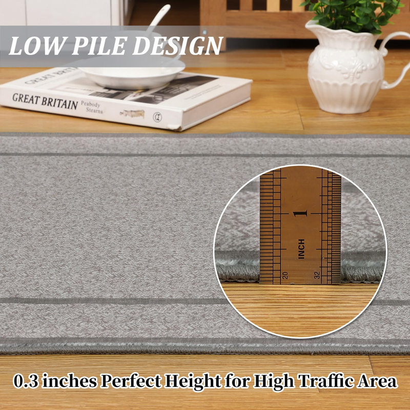Rugs Indoor Area Rug Weather Resistant Easy to Clean Ultra Thin Non Slip Stain Resistant Floor Mat for Dining Room Bedroom 5 * 7 ft