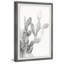 Prickly Bloom by Marmont Hill - Single Picture Frame Painting-51949833