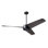 Ambit Downrod Ceiling Fan