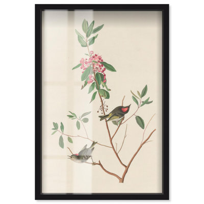 «Mountain Laurel Shadowbox Print» par Art Remedy