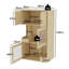 Cat Litter Enclosure with Storage & Scatter Guard for 2 Cats, Space Saving, 40Dx80Wx140H cm, Natural