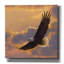 «Soaring Spirit» par Collin Bogle, art mural sur toile-1220133975