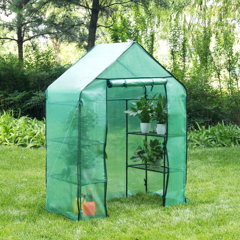 Ellisburg 2.4 Ft W x 4.7 Ft D Mini Greenhouse, Green