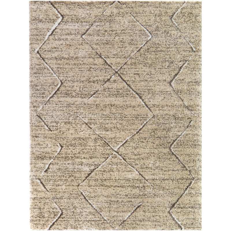 Tapis moderne taupe Abdoulaye, Rectangle 5 pi 3 po x 6 pi 12 po