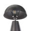 Darzell Metal Novelty Lamp
