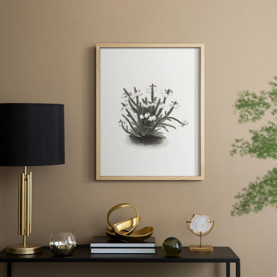 Vintage Floral Print CLXXI Framed Print - Solid Wood