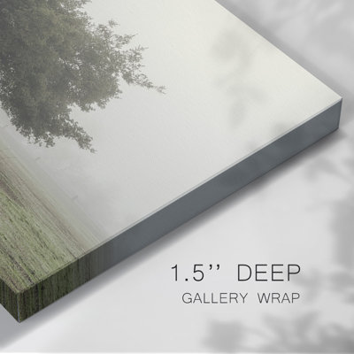 " Trees In The Fog II "