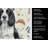 Black and White English Springer Spaniel Coffee Bar Kitchen Towel-1168063464