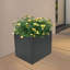 Boîte à fleurs en métal Raemond-1373843833