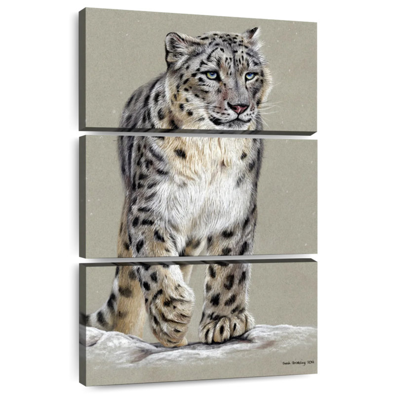 Brampt Snow Leopard II