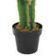 150cm Cactus Topiary in Pot