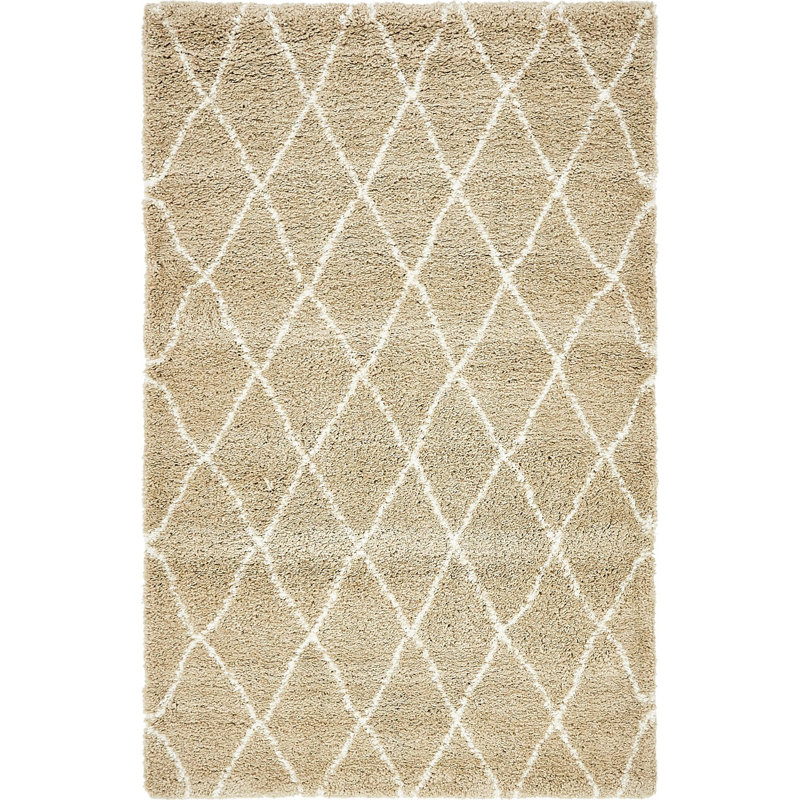 Paquette Shag Area Rug, Rectangle 122 x 183cm