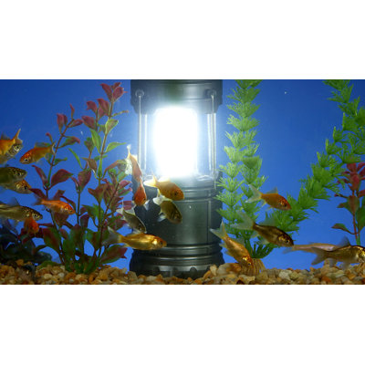 Lanterne Bell + Howell Taclight