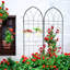 Treillis de jardin en métal 78,7 po x 19,7 po, antirouille, 2 pour plantes grimpant à l'extérieur, noir avec 2 porte-pots Trellis extérieur antirouille 78,7 po x 19,7 po, plantes en paquet, robuste