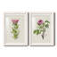 Pretty Pink Botanicals IV - Ensemble de 2 reproductions de cadres photo-1406763776-1406763782