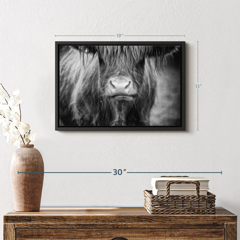 Animal "Vache Highland", H 19 po x l 13 po