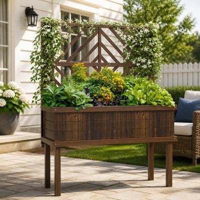 Jardinière surélevée en bois avec treillis intégré et système d'auto-drainage pour plantes grimpantes d'extérieur