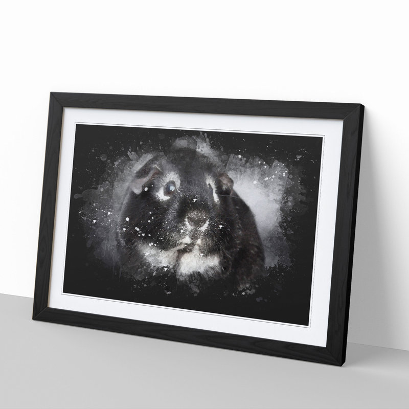 Guinea Pig - Picture Frame Graphic Art, 27cm H x 36cm W x 2cm D, Black Framed