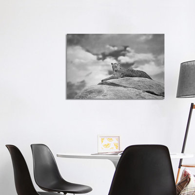 Leopard On A Kopje by Mario Moreno - Print on Canvas