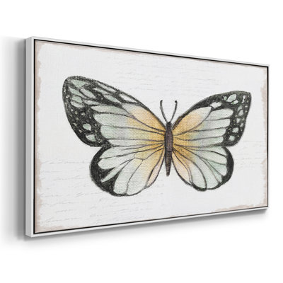 Vintage Flutter IV- Framed Gallery Wrapped Canvas -Ready to Hang
