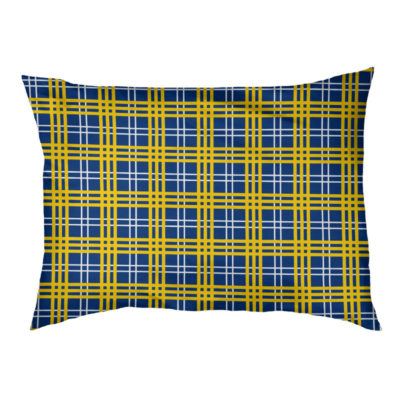 Oreiller d’intérieur de luxe Tennessee football, Grand (l 40 po x p 30 po x p 5 po), Bleu royal / blanc / or