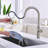 Novo Single Handle Pull Down Kitchen Faucet-123809213