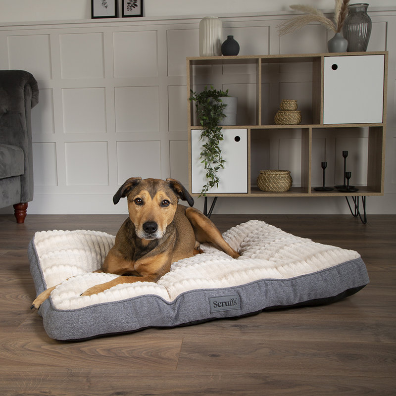 Ellen Polyester Pet Bed, Grey/Ivory
