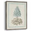 Reproduction encadrée Willow Blue Besler VI - bois massif-480757568