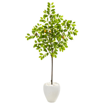 68'' Faux Lemon Tree in Earthenware Planter