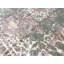 Windsom One-of-a-Kind 8'11" X 12'1" Area Rug