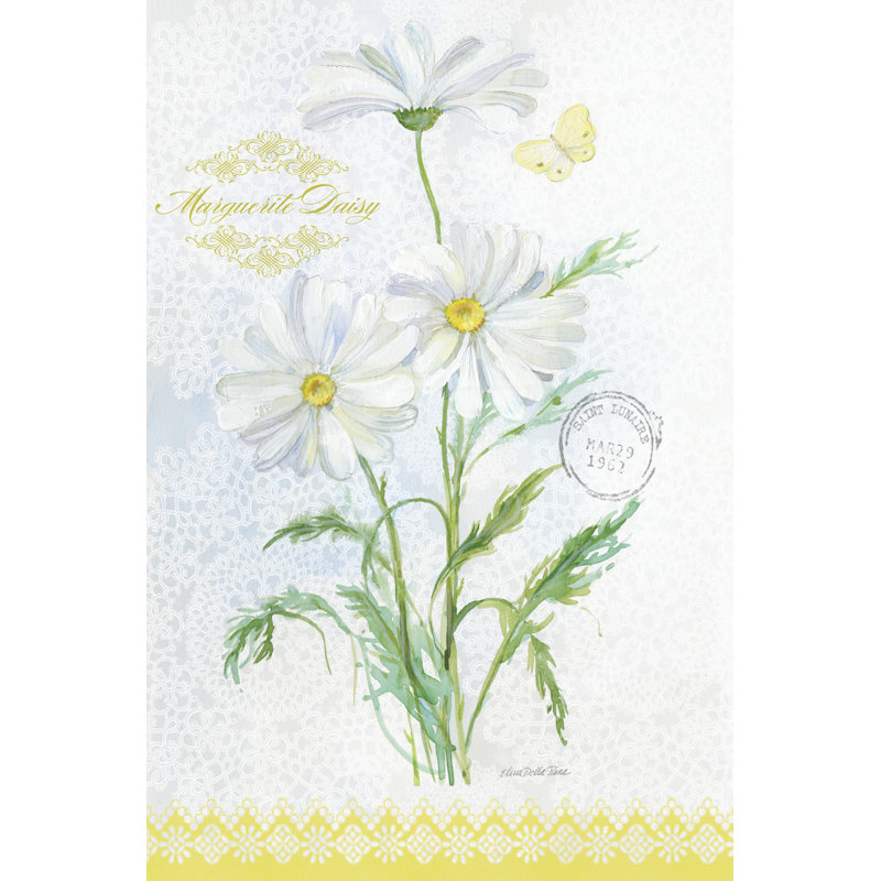Flower Study On Lace X by Elissa Della-Piana - Wrapped Canvas Print, 46cm H x 30cm W x 3.8cm D