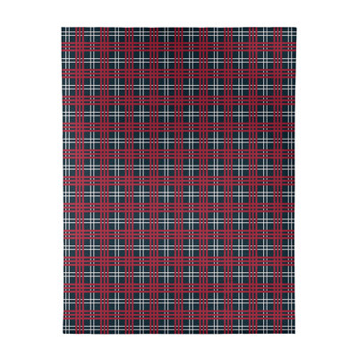 Plaid Indoor Rug