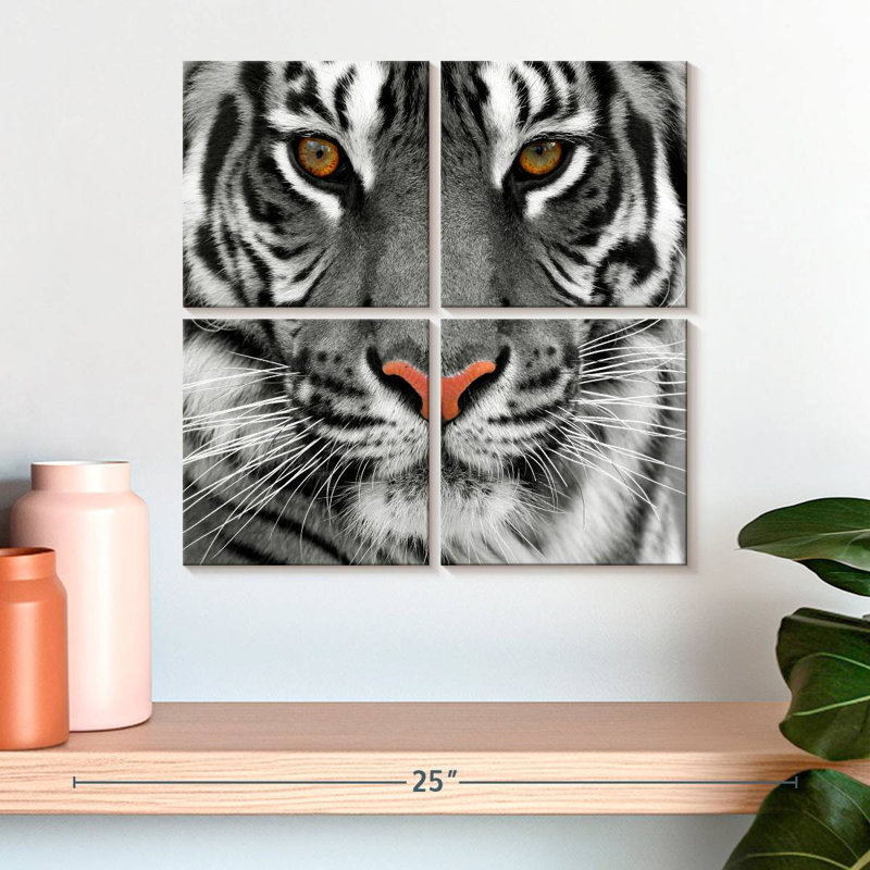 Brampt Staring Tiger, 18" H x 18" W