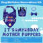 Ensemble de chapeaux Dog Birthday Bandana