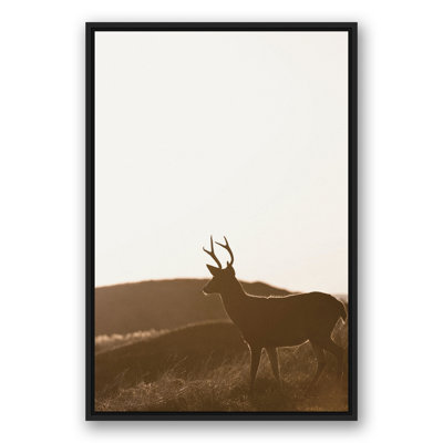 Morning Deer - imprimé