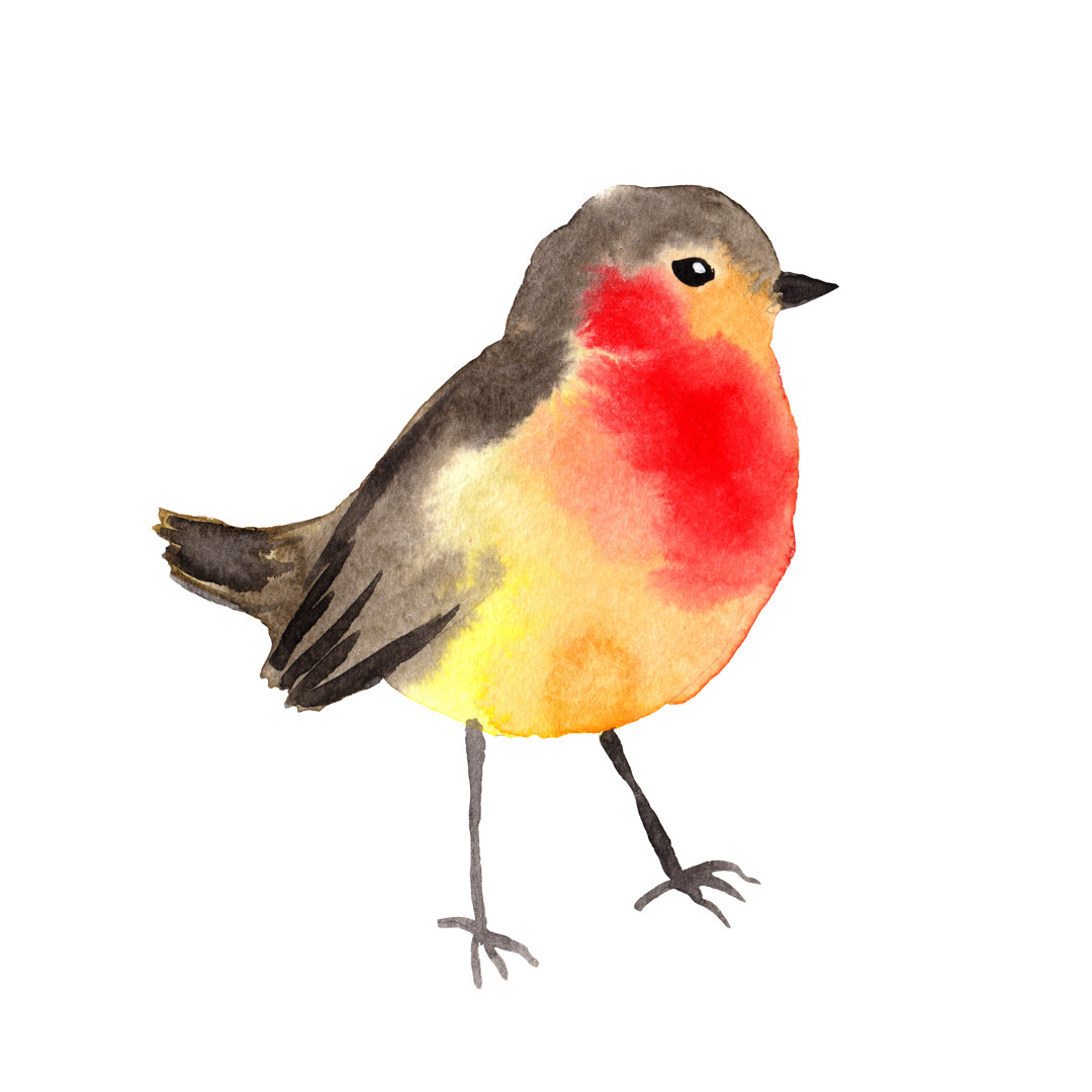 Watercolor Bird - Robin by Utro_na_more - Wrapped Canvas Painting