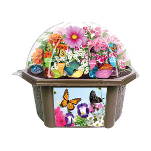 Toys By Nature 1 Player S.T.E.M Game