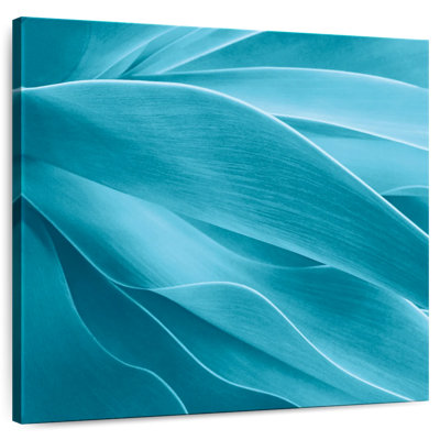 Harnek Teal Succulent