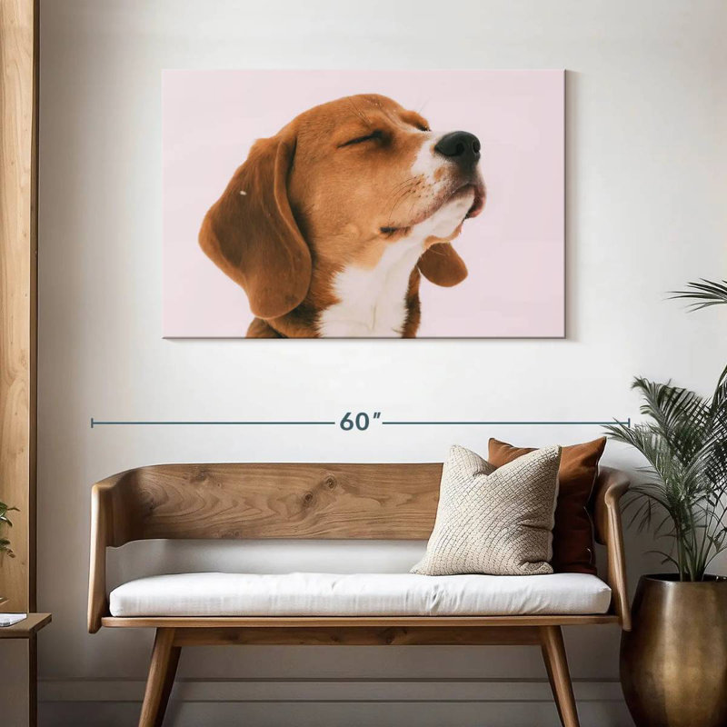 Beagle Brampt