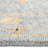 Azurdee Hand Knotted Floral Indoor Rug-1573336269