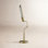 Metal Desk Lamp